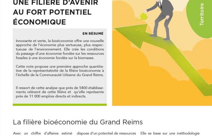 Note 41 : la Bioéconomie, une filière d'avenir au fort potentiel économique