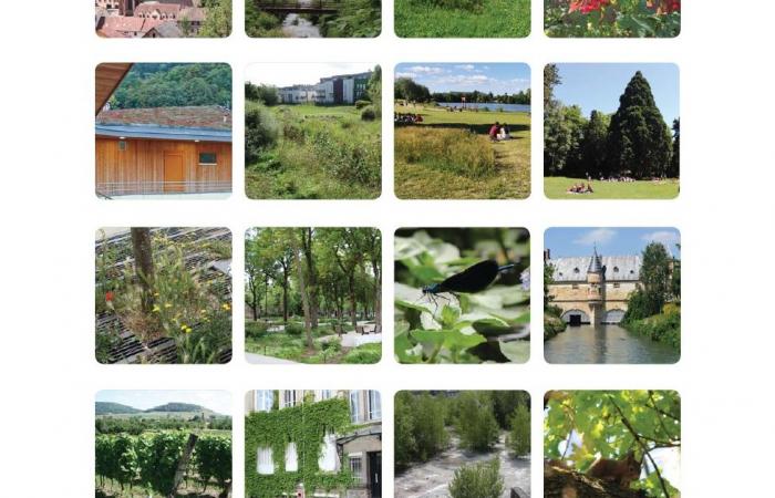 Région Grand Est et 7Est_ Guide Nature en Ville