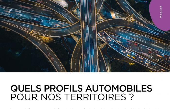 Note 54 : Quels Profils automobiles pour nos territoires ? 