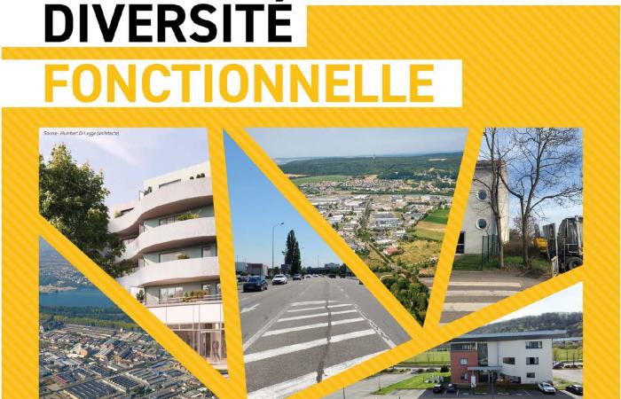 Réseau 7EST : Diversité fonctionnelle en Zones d'Activités