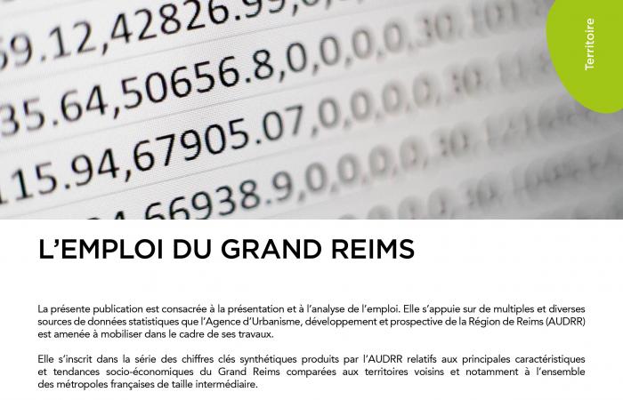 CHIFFRES CLÉS N°8 : L'EMPLOI DU GRAND REIMS