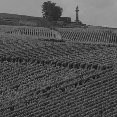 territoire